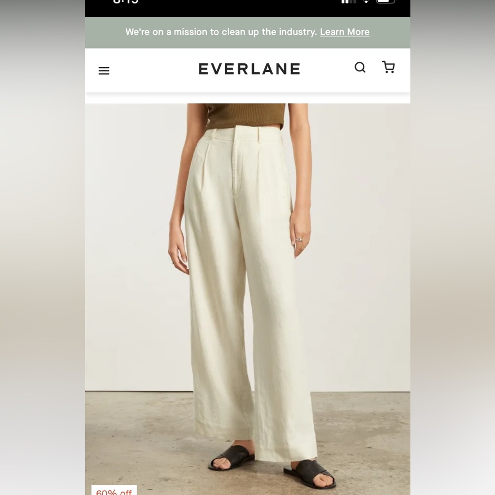 Everlane Linen Way High Drape pants